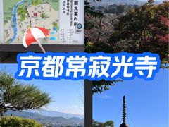 -常寂光寺