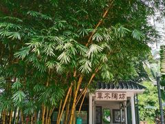 -晓港公园