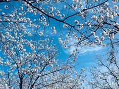 -龙美术馆西岸馆-停车场