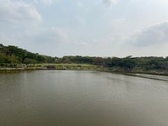 -东莞植物园