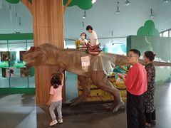 -中国湿地博物馆