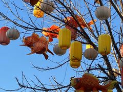 -龙湖星悦荟(颐和店)