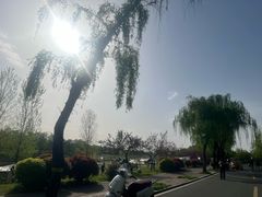 -洨河生态公园