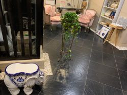-威思丽高温瑜伽会馆