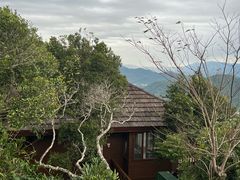 -三亚亚龙湾人间天堂鸟巢度假村
