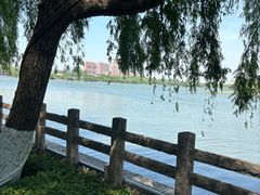 -济南大明湖景区