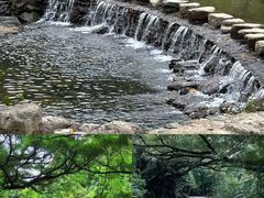 -广州市石门国家森林公园