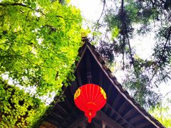 -莫干山风景区