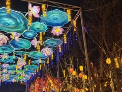-淄博花灯齐彩城