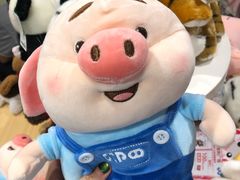 -武汉光谷K11