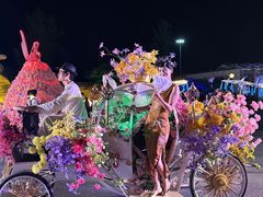 -荷兰花海