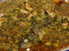 -高坎一品甲鱼庄(两河店)