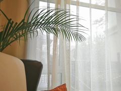 -子霖南山鲜虾面(南山总店)