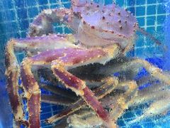 -77号渔船·蒸海鲜青岛菜(积米崖店)