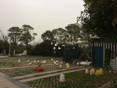 -九江市博物馆