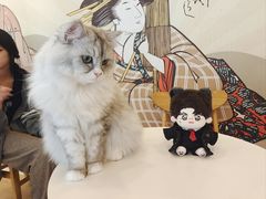 -Let's go狗咖·猫咖·奶狗·桌游(春熙路IFS店)