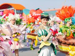 -荷兰花海