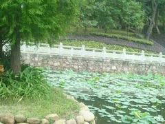 -中山市树木园