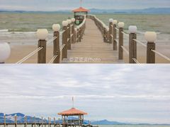 -汕尾风车岛