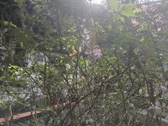 -广州神农草堂中医药博物馆