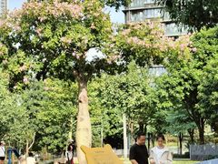 -景田北六街公园宠物主题园