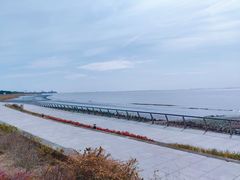 -瀛洲公园