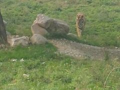 android_upload_pic-西安秦岭野生动物园