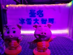 -圣名游乐城冰雪大世界