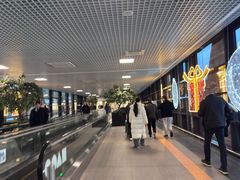 -谢列梅捷沃国际机场