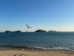 -傅家庄公园