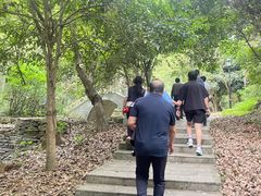 -潜山国家森林公园