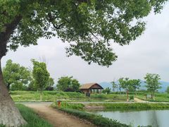 -良渚古城遗址公园
