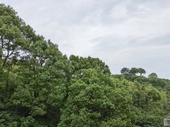 -天目湖涵田度假村