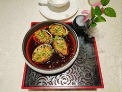 红油椒麻汁8头鲍鱼-禾府酒家·传统广府味(番禺店)