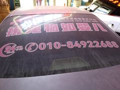 -全心全意动物诊疗中心医院(北苑店)
