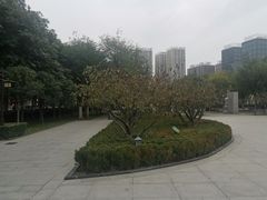 -木塔寺遗址生态公园