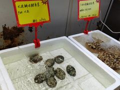 水产区-蚝专家(北滘店)