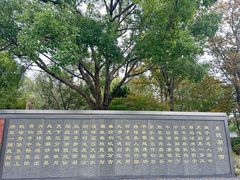 -东钱湖旅游度假区