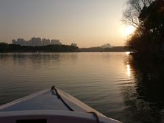 -昆山城市生态森林公园