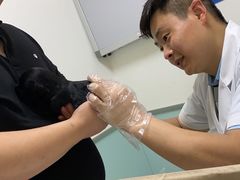 -特一安24小时宠物医院·骨科·中兽医