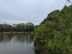 -上海海湾国家森林公园