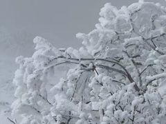 -牛背山