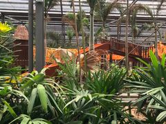 -呀路古热带植物园