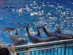 -多彩贵州城极地海洋世界