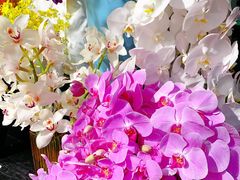 -双季花艺园艺市场(浦东店)