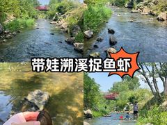 -羊山湖公园