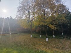 -龙头寺公园