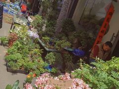 -苏州艺都古玩花鸟市场