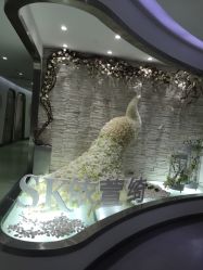 点击看大图 -依萱绮医疗美容