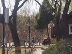 -古塔公园